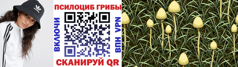 mega как войти  Ишим  Галлюциногенные грибы мицелий  площадка формула  где купить наркотик 