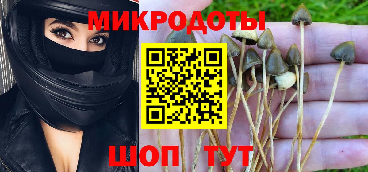 Псилоцибиновые грибы Cubensis  Псилоцибиновые грибы GOLDEN TEACHER  Ишим  Вход с VPN 