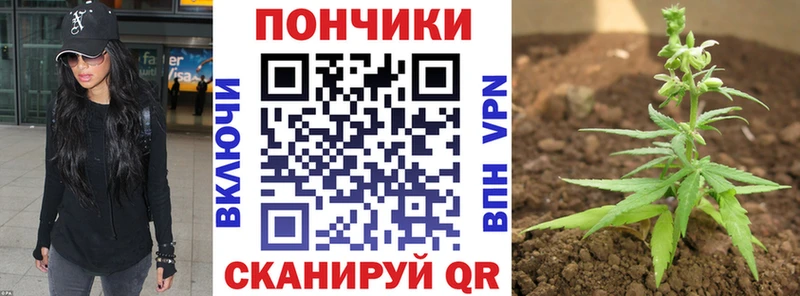 МАРИХУАНА гибрид  Ишим 